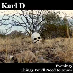 Evening / Things You'll Need to Know, a bass music single by Karl D.