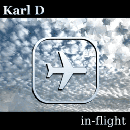 in-flight