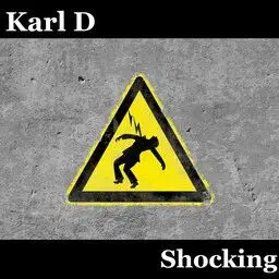 Shocking, a electro house single by Karl D.